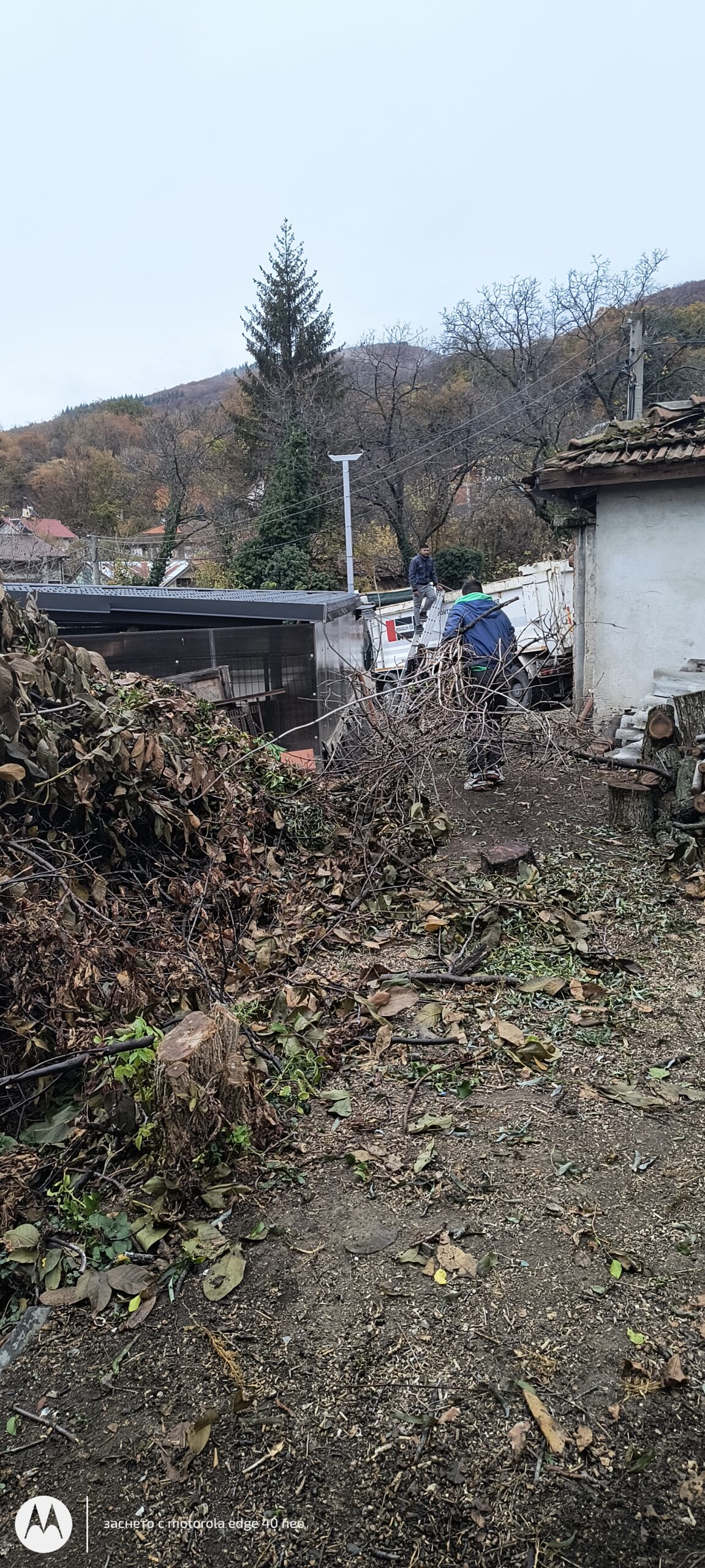 Разчистване на двор