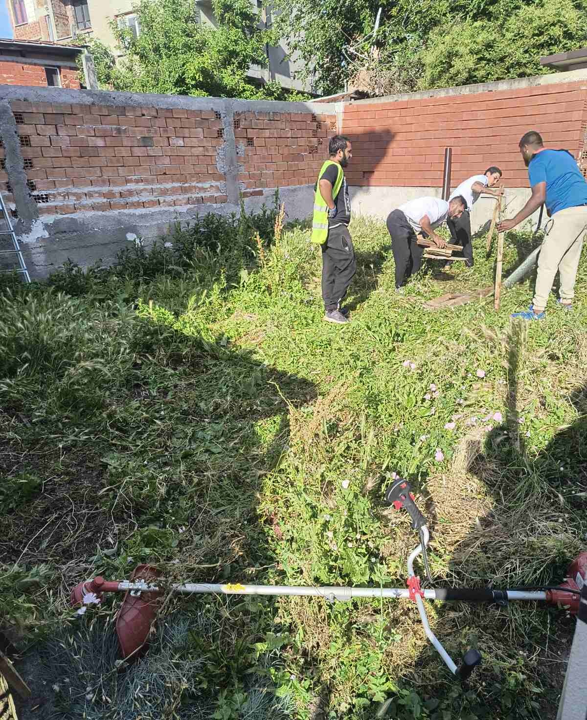 Разчистване на дворове